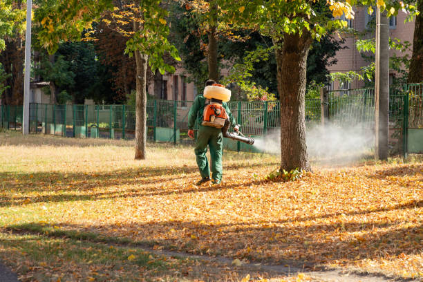 Wildlife Control Services in River Forest, IL